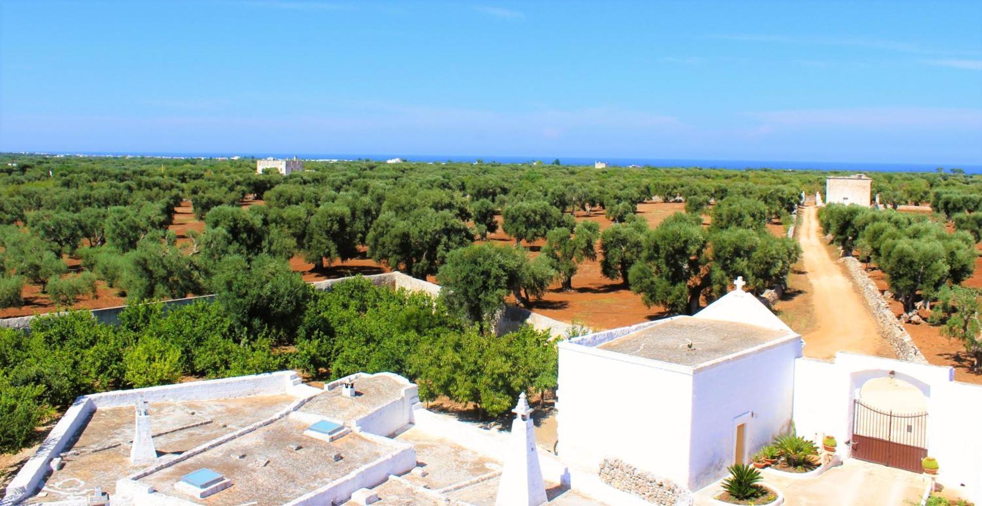 Masseria Mammella Aparthotel Monopoli Esterno foto