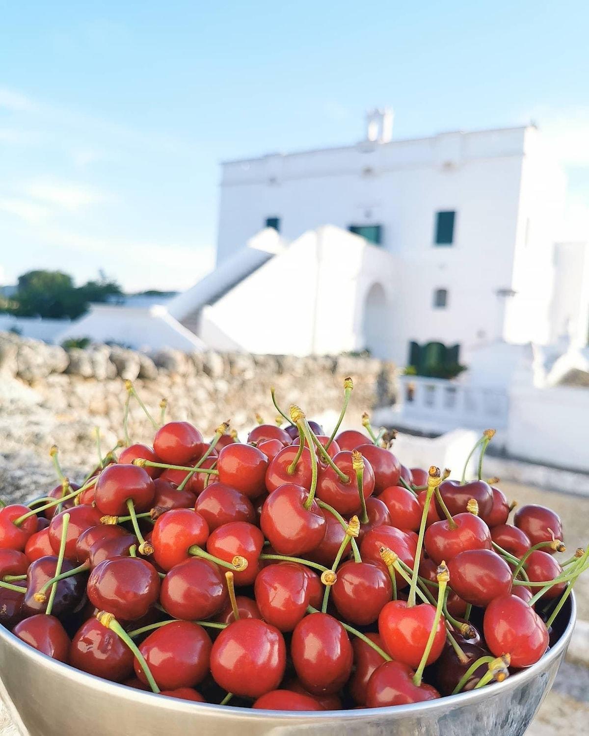 Masseria Mammella Monopoli Esterno foto
